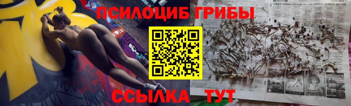 Псилоцибиновые грибы MAGIC MUSHROOMS Выкса